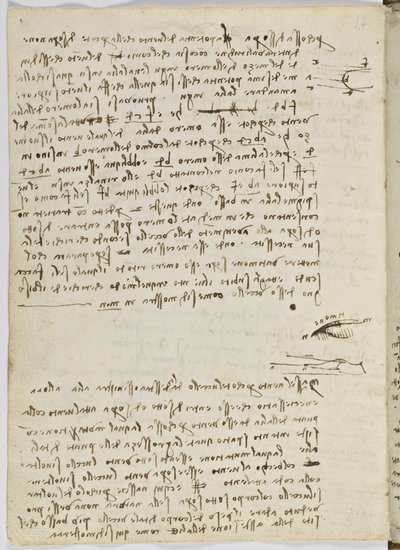 Code sur le vol des oiseaux, c. 1505-06, manuscrit sur papier, cc. 18, feuille 9 verso - Leonardo da Vinci